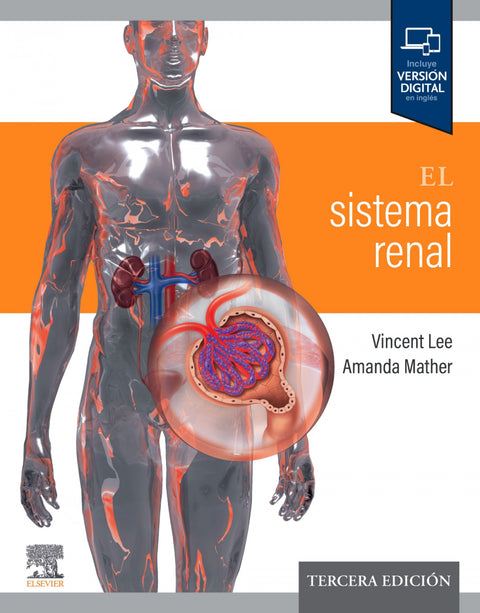  El sistema renal 