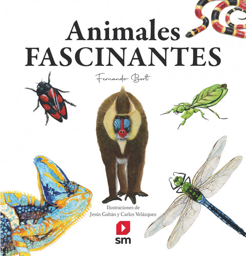  Animales fascinantes 