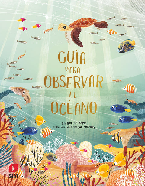  Guía para observar el océano 