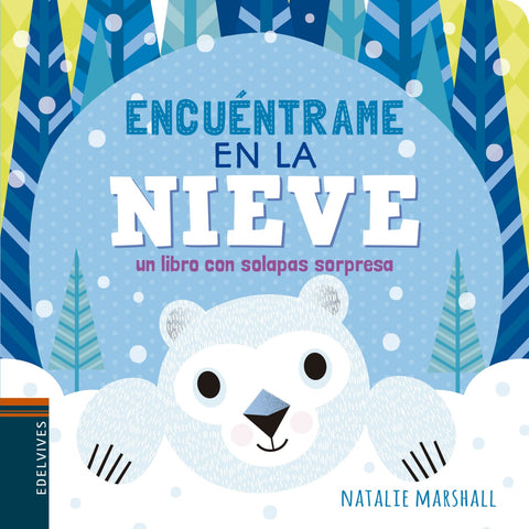  ENCUENTRAME EN LA NIEVE 
