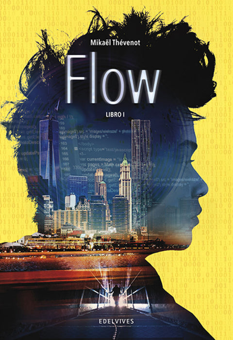  FLOW (PARTE I) 