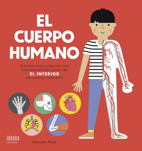  El cuerpo humano 