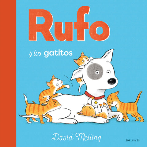  Rufo y los gatitos 