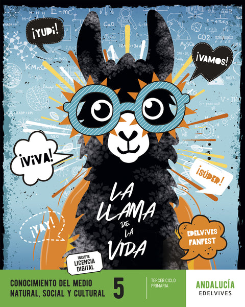  CONOCIMIENTO DEL MEDIO 5ºPRIMARIA. FANFEST. ANDALUCÍA 2023 