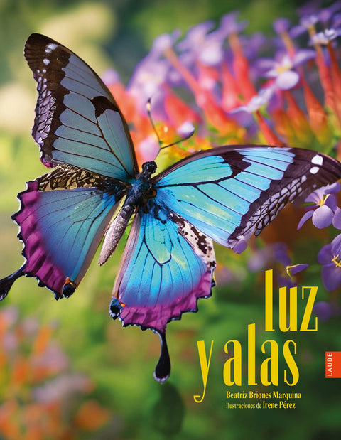  Luz y alas 