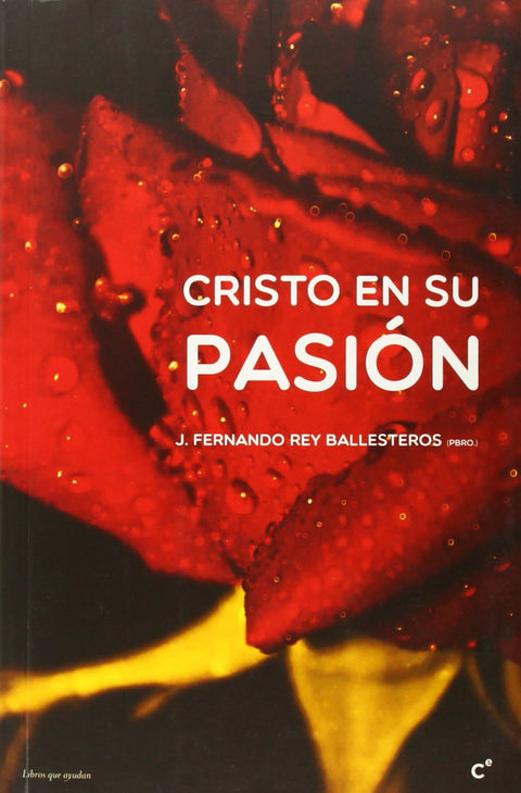  cristo en su pasión 
