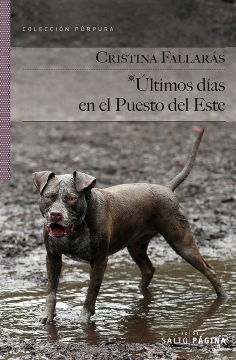  Ultimos dias en el puesto 