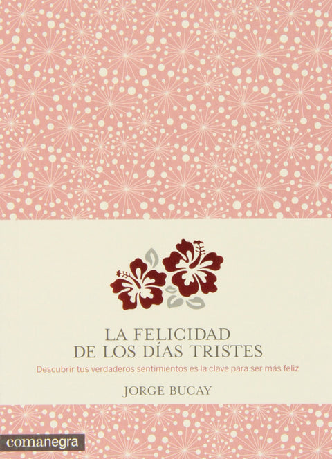  La felicidad de los días tristes 