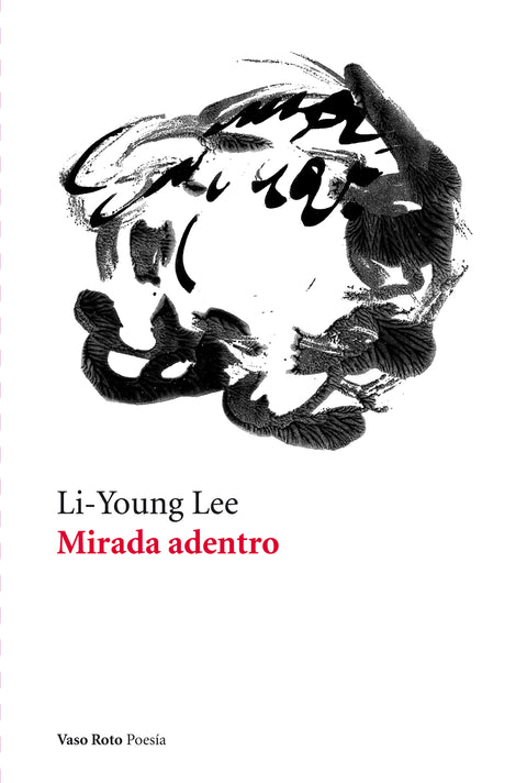  MIRADA ADENTRO 