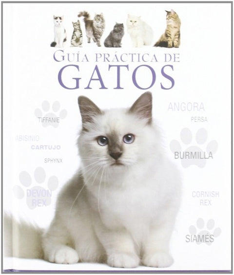  Guía práctica de gatos 