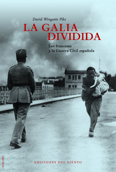  LA GALIA DIVIDIDA 