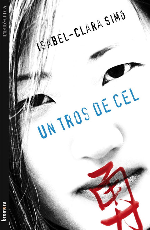  Un tros de cel 