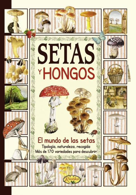  Setas y hongos 