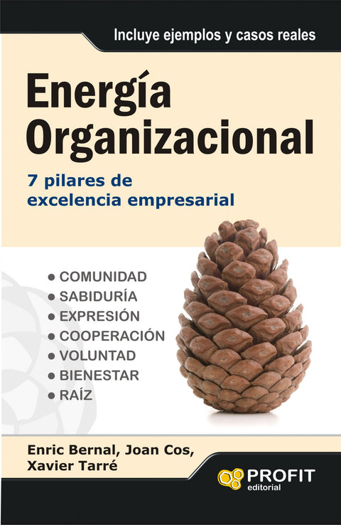  Energia Organizacional 