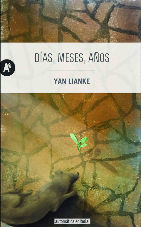  DÍAS, MESES, AÑOS 
