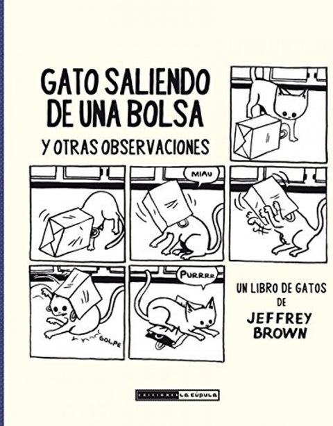  Gato Saliendo De Una Bolsa 