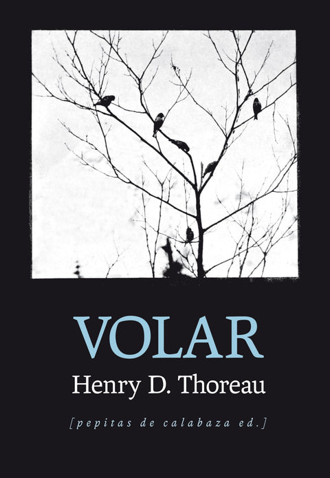  Volar 