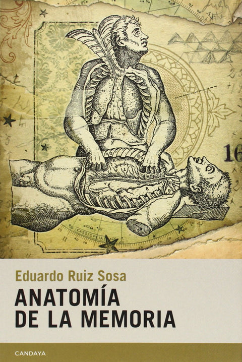  Anatomía de la memoria 