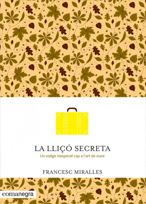  La lliço secreta 