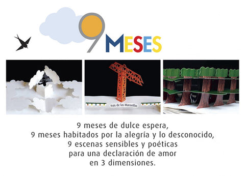  9 meses 