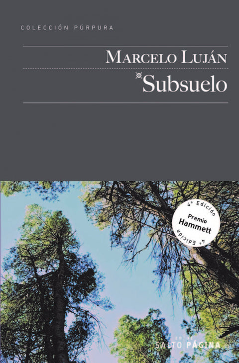  SUBSUELO 