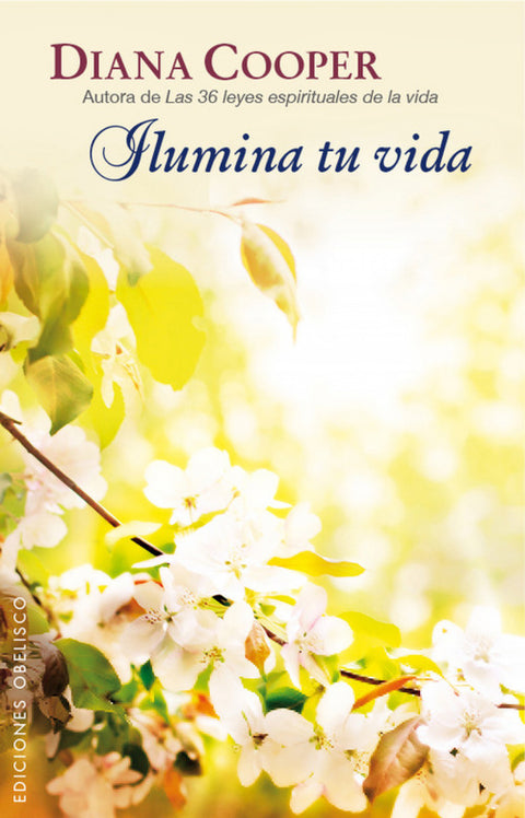  Ilumina tu vida 