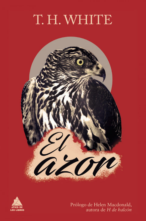  El azor 