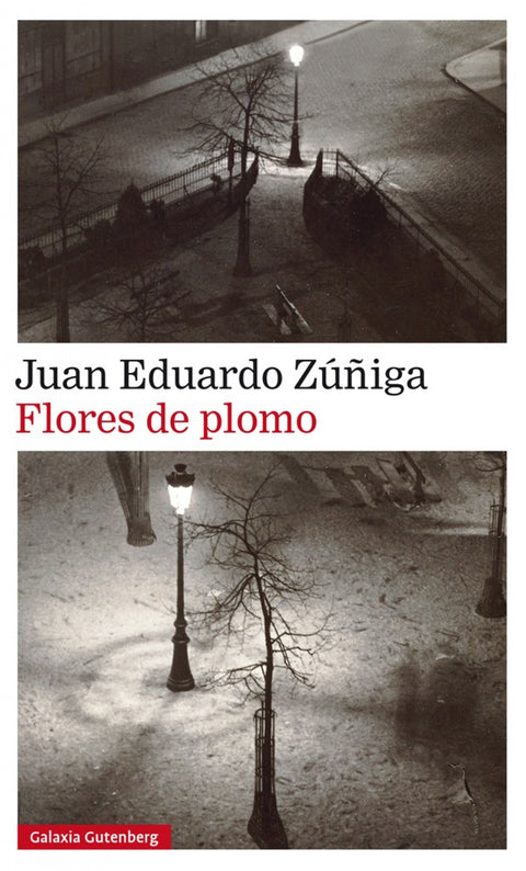  Flores de plomo 