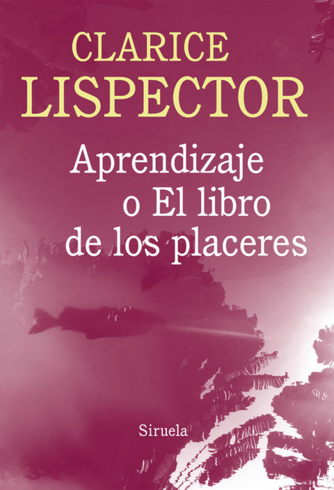  Aprendizaje o el libro de los placeres 