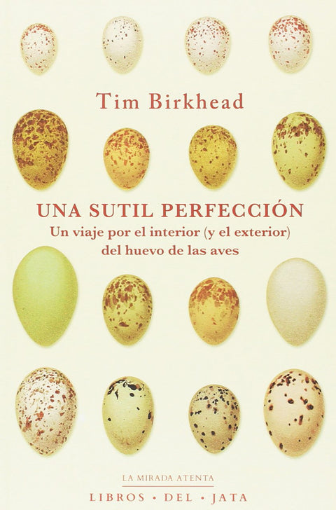  UNA SUTIL PERFECCIÓN 