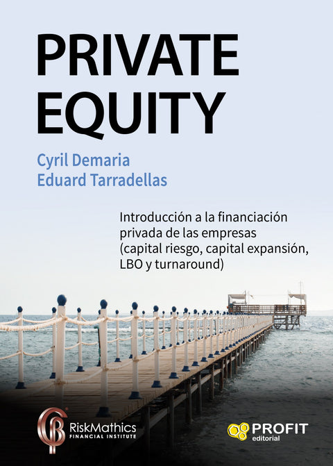  Private equity 