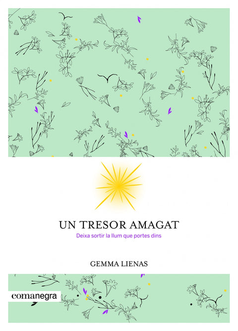  UN TRESOR AMAGAT 