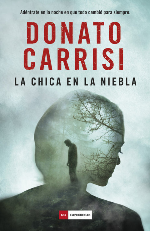 La chica en la niebla 