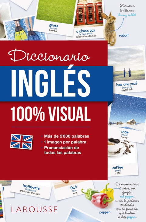  DICCIONARIO DE INGLéS 100% VISUAL 