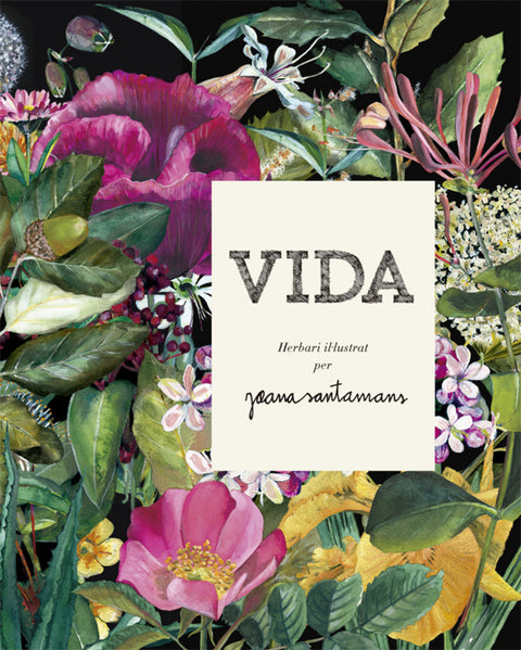  VIDA 
