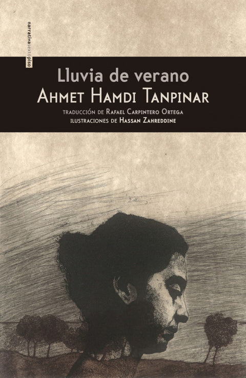  LLUVIA DE VERANO 