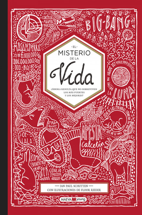  EL MISTERIO DE LA VIDA 