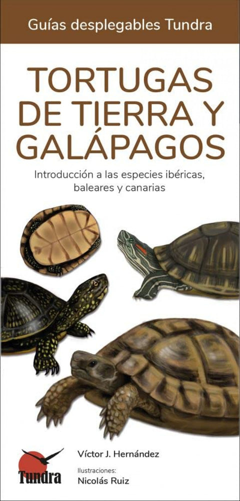  TORTUGAS DE TIERRA Y GALAPAGOS - GUIAS DESPLEGABLES TUNDRA 