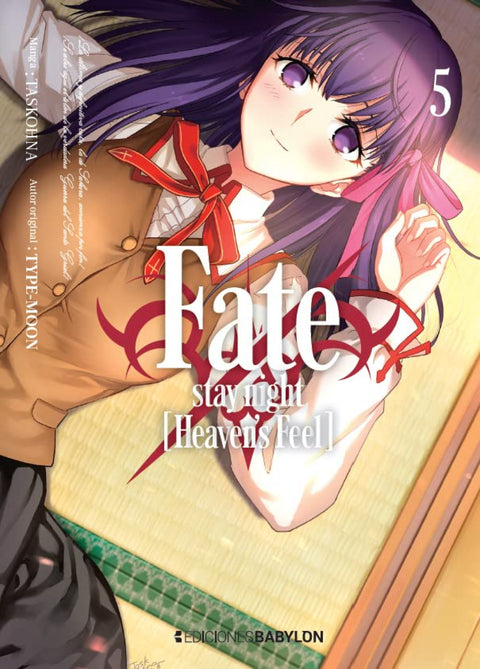  FATE STAY NIGHT 