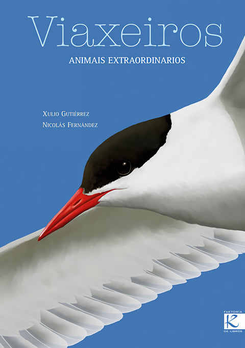  VIAXEIROS 
