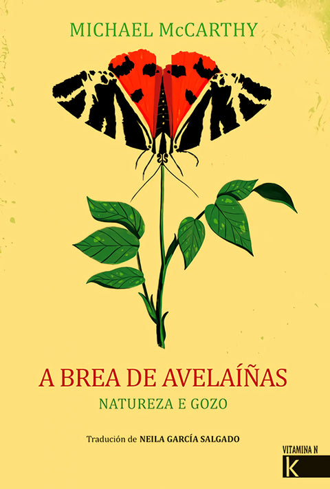  A brea de avelaíñas 