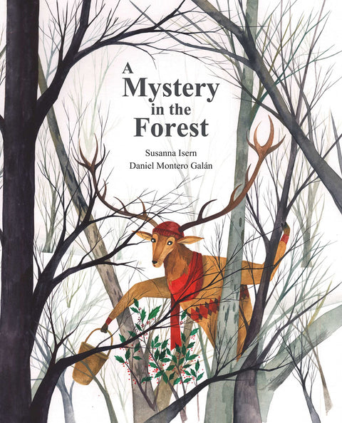  A Mystery in the Forest 