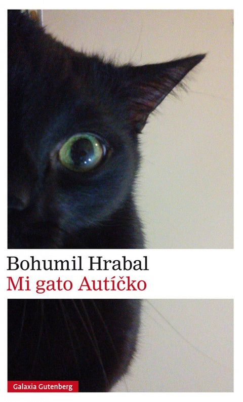  Mi gato Autícko 