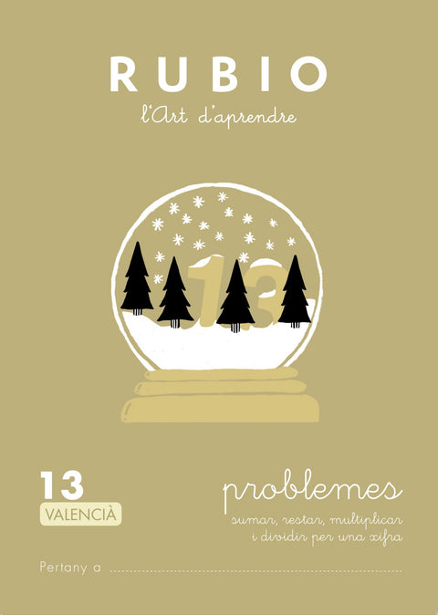  PROBLEMES 13 