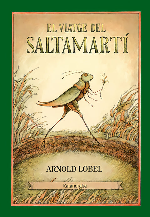  EL VIATGE DEL SALTAMARTÍ 