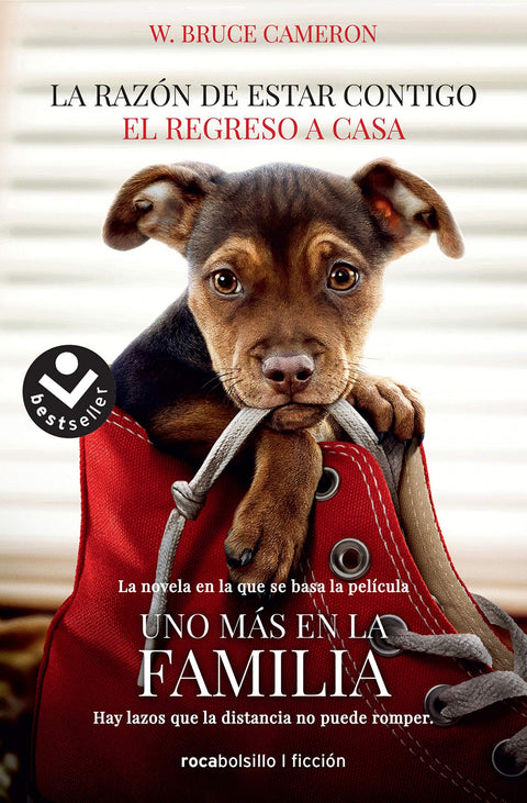  LA RAZÓN DE ESTAR CONTIGO 