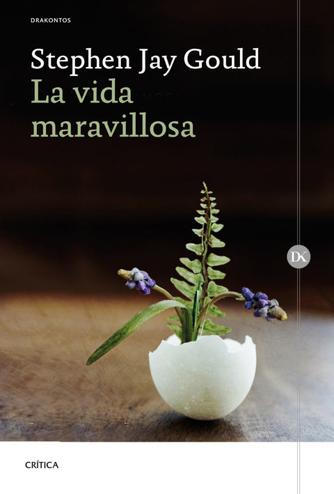  LA VIDA MARAVILLOSA 