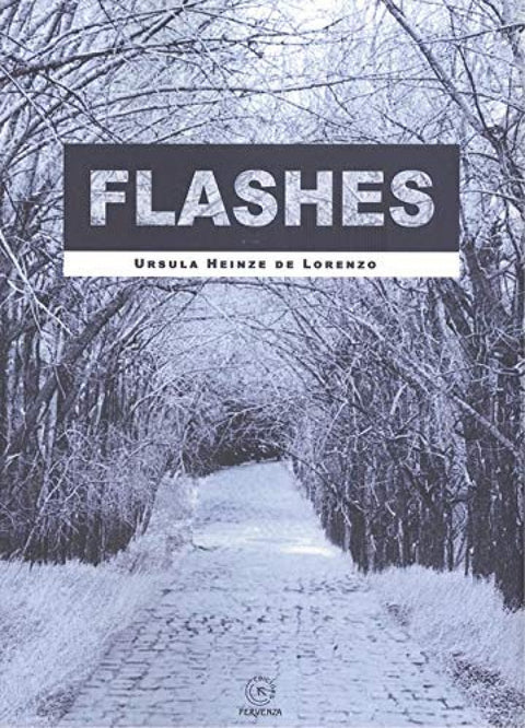  Flashes 