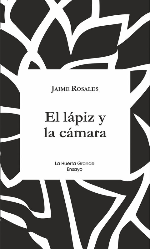  EL LÁPIZ Y LA CÁMARA 