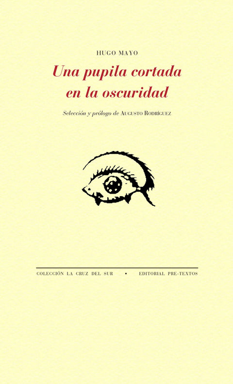  UNA PUPILA CORTADA EN LA OSCURIDAD 